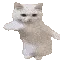 cattime