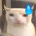 KoBitNoiJ