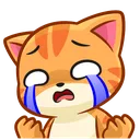 ek_catcry
