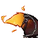 HoundTailL