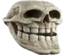 trolleador