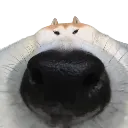 okeydokieartichokie