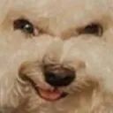 hehe hehe