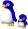 penguins