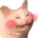Shycat shycat Discord Emoji