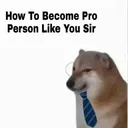 pro4
