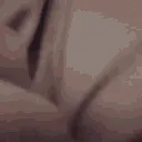 kittehkittyezgif
