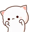 actcute_cat