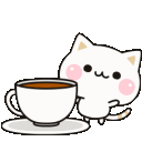coffee_cat