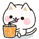 juice_cat