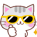 sunglasses_cat