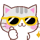 sunglasses_cat