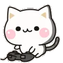 gamingcat