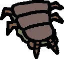 SnareFlea