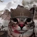1000yardcat