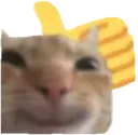 CatOrangeThumbsUp