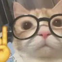 l_Nerdy_Cat