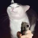 Cat_jejejeje