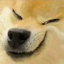sneakydoge Discord Emoji