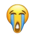 D_droopsob
