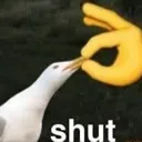 shut