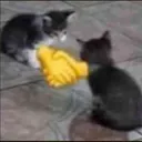 deal