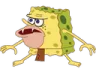 cavesponge