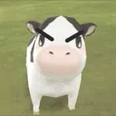 madmoo madmoo