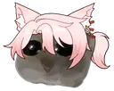 JiaoqiuHamster
