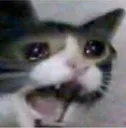 screamingcat