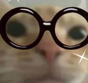 cat_nerd2 Discord Emoji