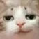 smug_cat