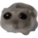 oh