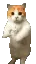 CatTime2