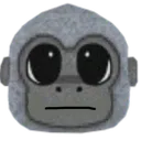 lilstare