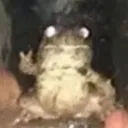 frg