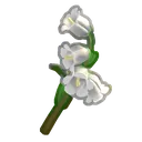 bellbutton