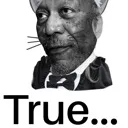 CatMaidTrue