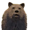 pxdbear