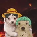 doggieduo
