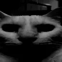CattoScary