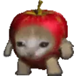 J_applecat