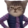 DisappointedCat