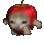 applecatrun