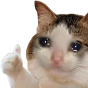 Sadcatthumbs Discord Emoji