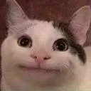 Cat Hmm Discord Emoji