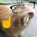 LcoDehecholcoyaseroboeseemote Discord emoji