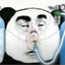 LcoGraciasportankearlacaballo Discord emoji