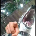 LcoJuaaaajuajua Discord emoji
