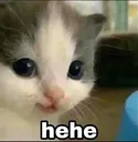 teheheheh